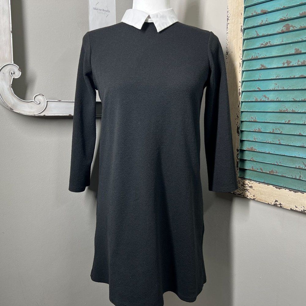 ZARA Trafaluc Peter Pan Collared Black Dress Size Small