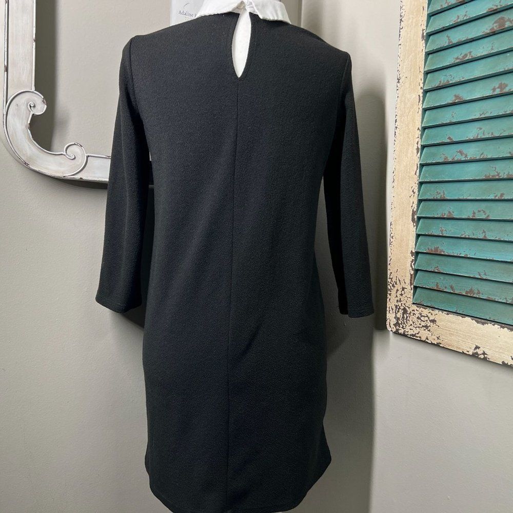 ZARA Trafaluc Peter Pan Collared Black Dress Size Small - Picture 3 of 4