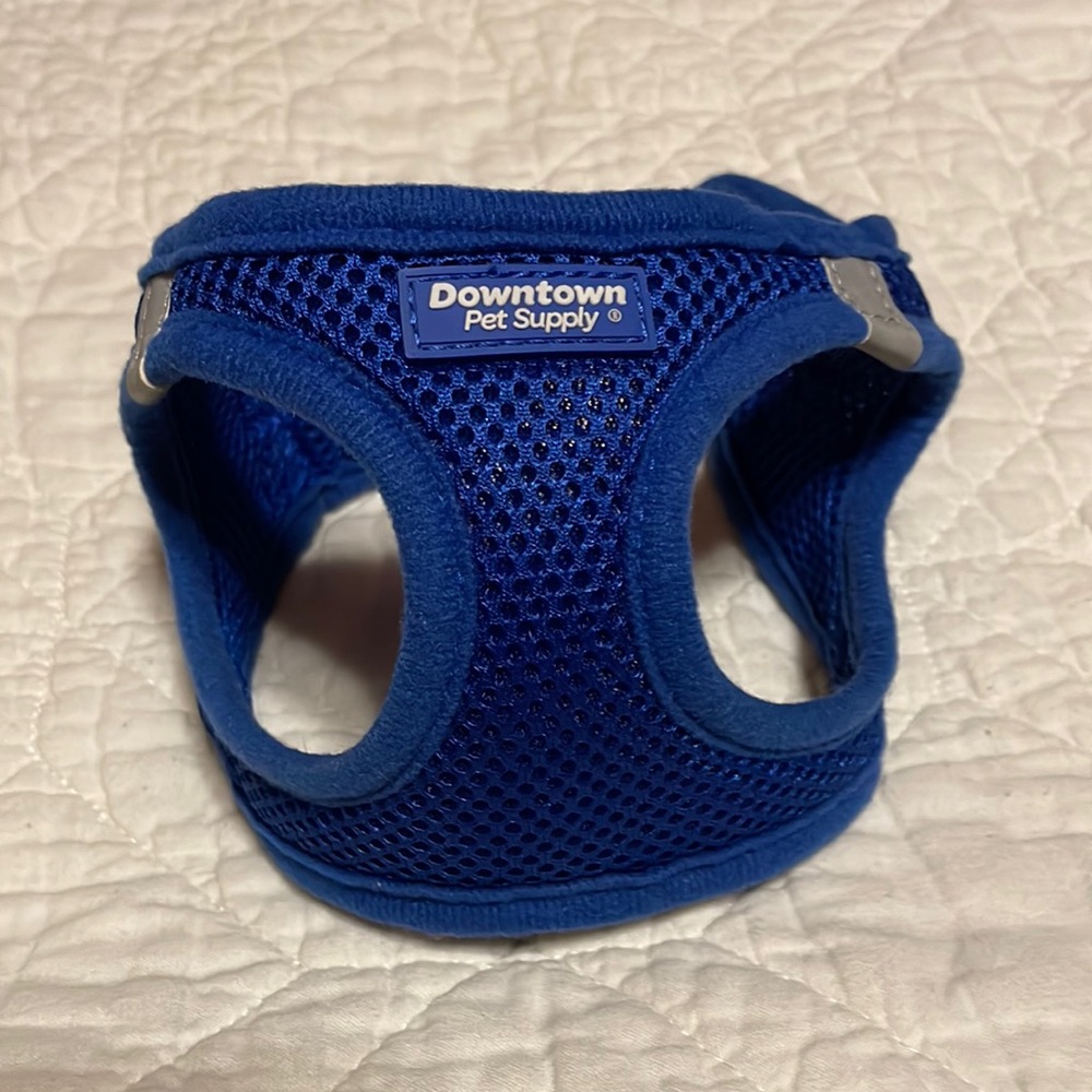 XS dog harness