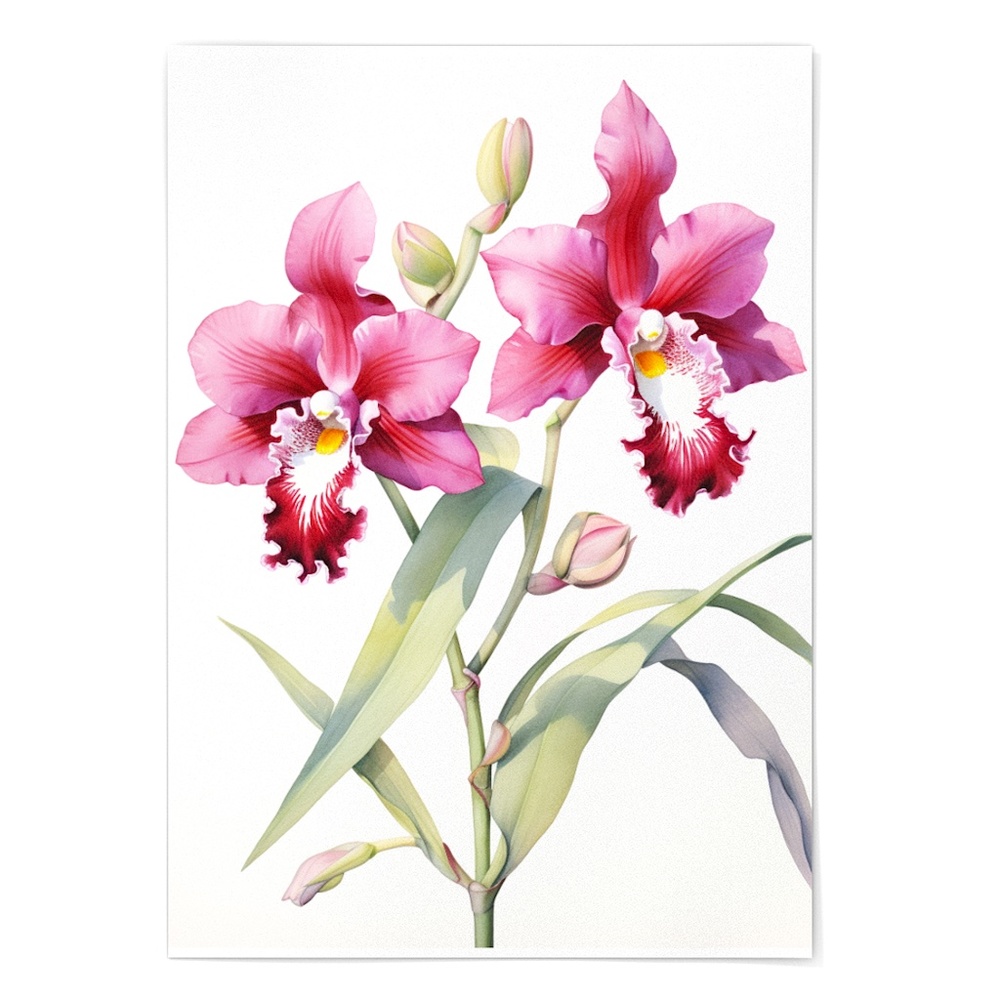 Watercolor Orchids Wall Art Illustration Print Poster Unframed - Picture 2 of 6