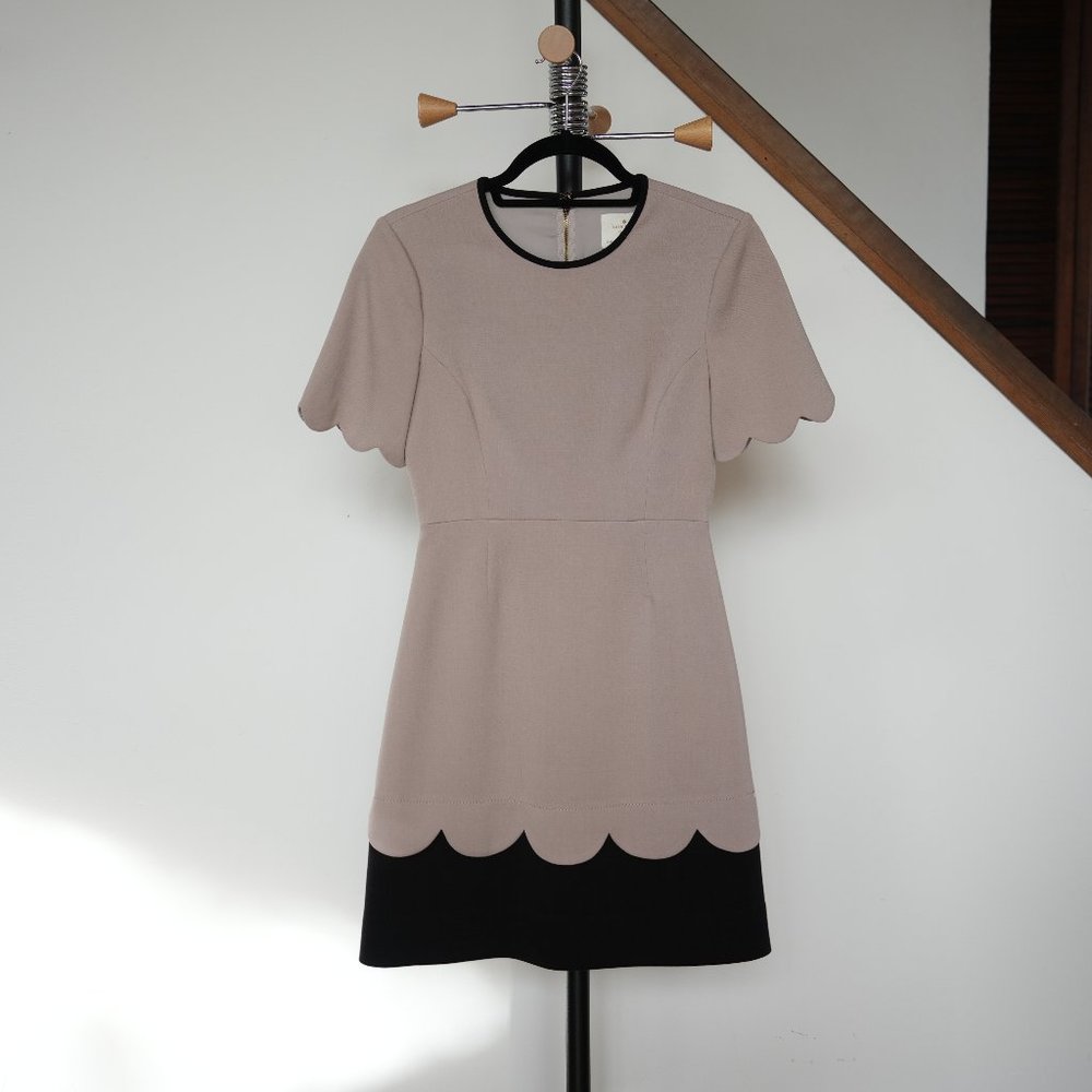 Kate Spade New York Sponge Crepe Scallop Short Sleeve Dress in Mushroom/Black