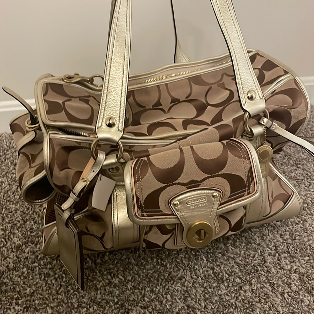 Coach dog carrier