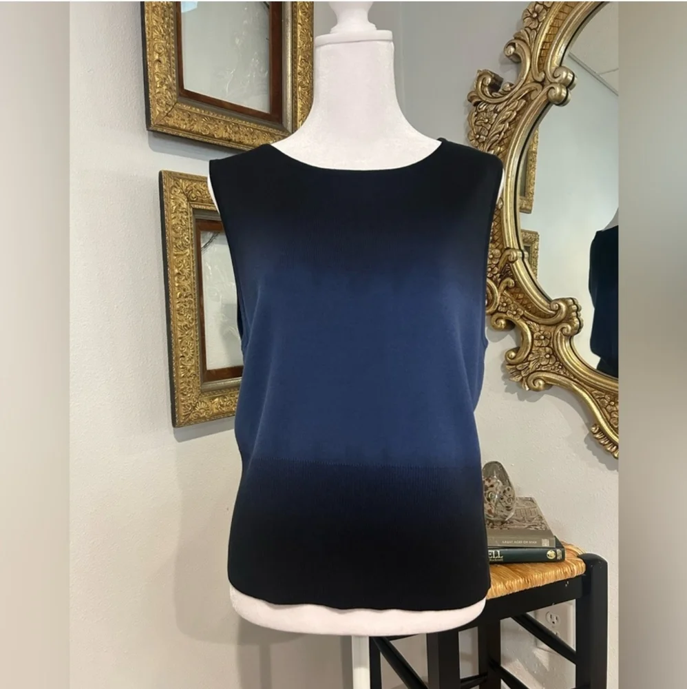 Liz Claiborne Ombré Blue Knit Tank Top - Size XL - Picture 1 of 4