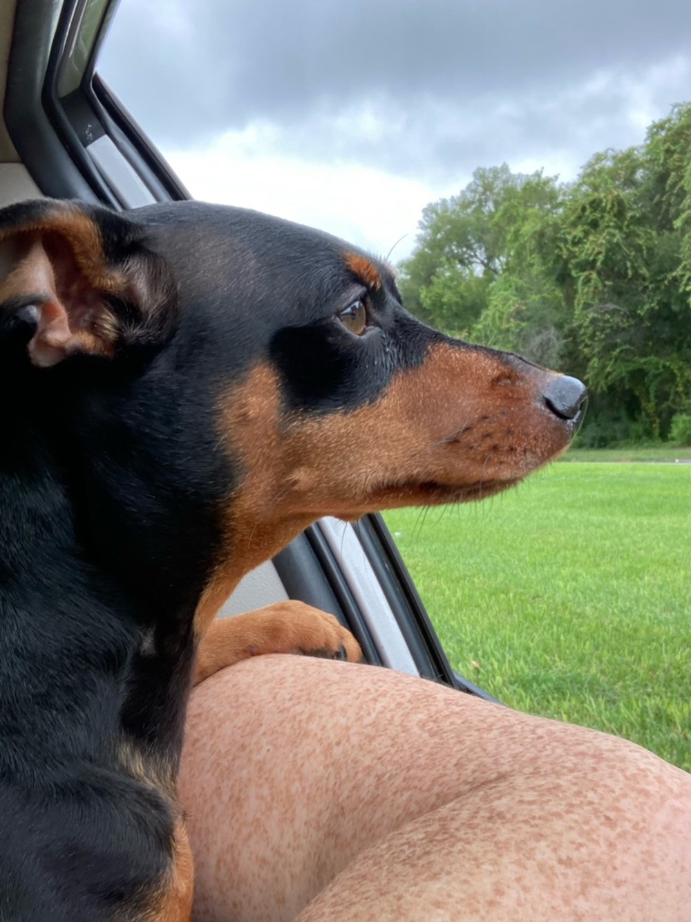 🐶 Hendrix's Tater Fund 🐾 - Picture 5 of 14