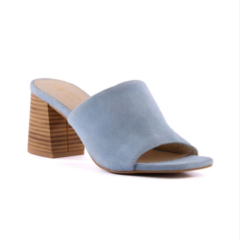 Seychelles Light Blue Suede Block Heel Sandals