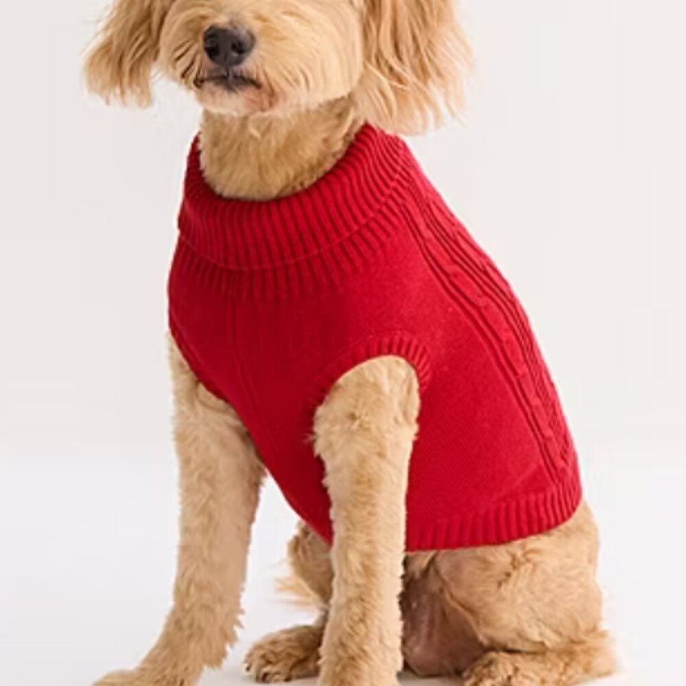 St. Johns Bark Dog cable knit Sweater