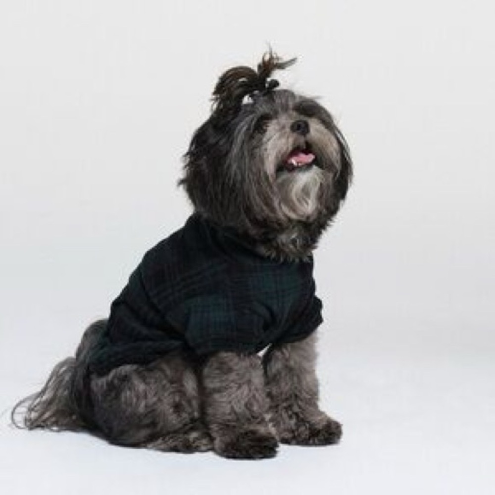 Skims Fleece Sleep Pet Hoodie