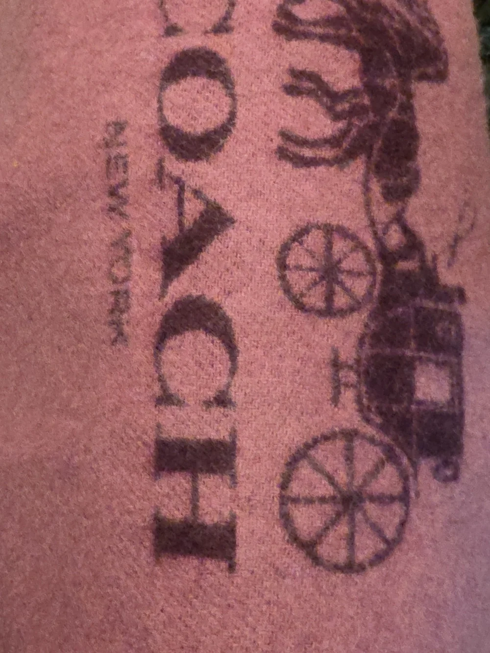 Coach Cashmere Scarf - Picture 4 of 4