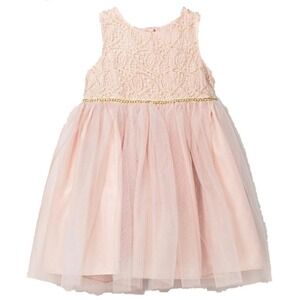 CAT‎ & JACK Girls Pink Dress Tulle Party Ballerina Sleeveless Lace Gold 4T Twirl