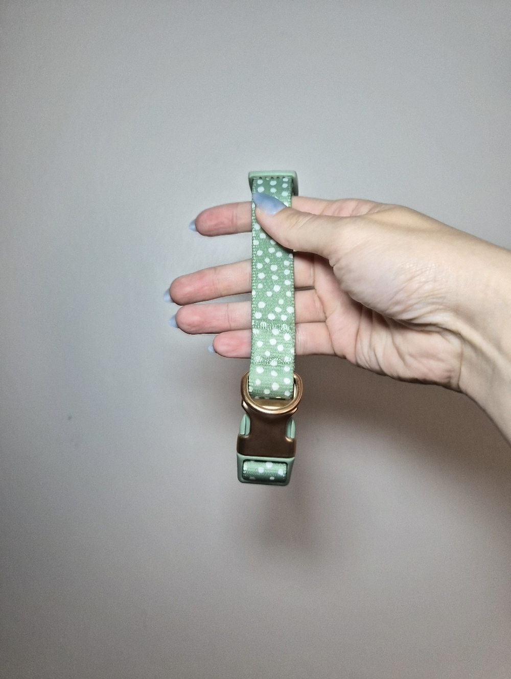 Adjustable Mint Green Polka Dot Dog Collar with Gold Hardware