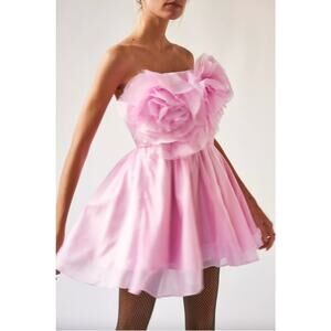 Bardot Pink Strapless Mini Dress Fit & Flare with Large Roses Size 6