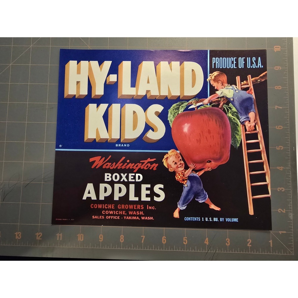 Vintage Hy Land Kids Washington‎ Boxed Apples Produce Crate Label Art