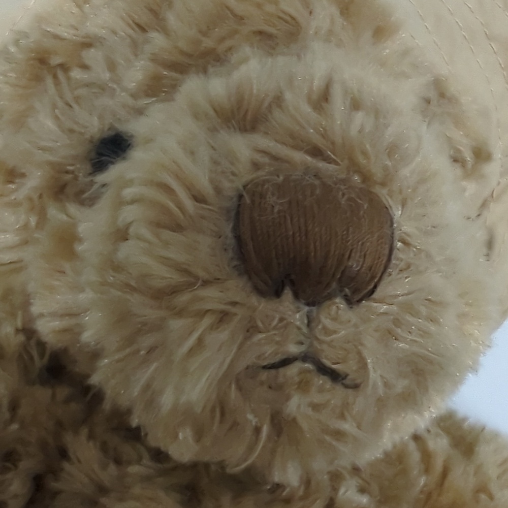 Burberry Bear 2006 - Picture 8 of 9