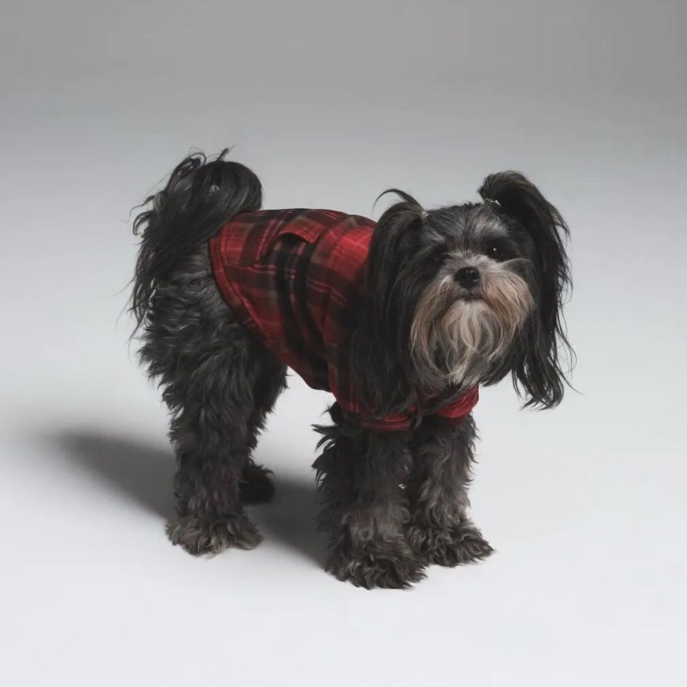 Skims Dog Fleece Sleep Hoodie Red Plaid