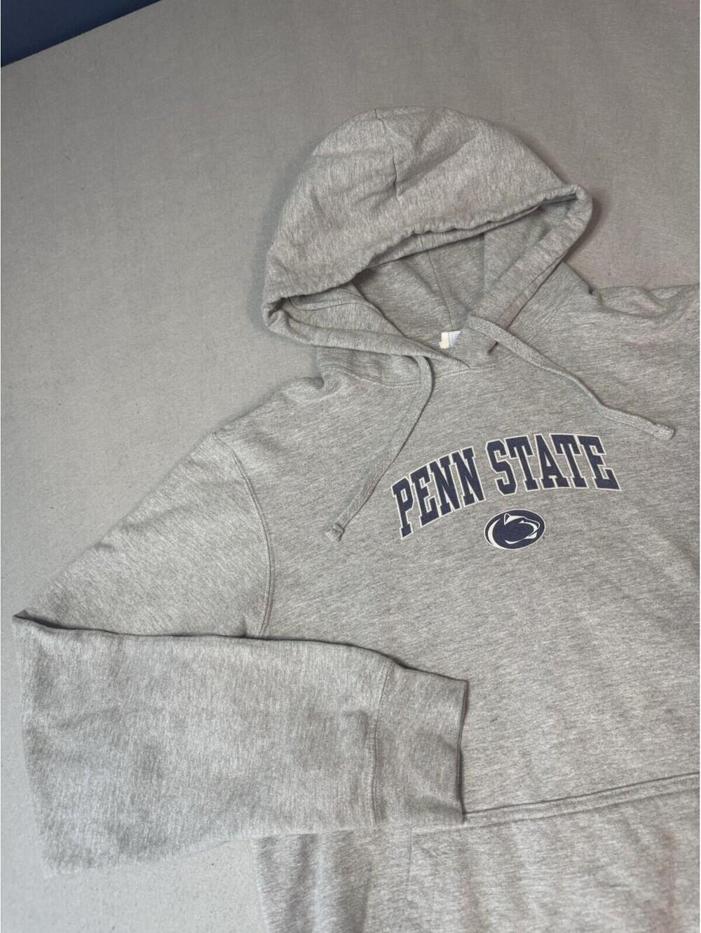 Penn State Nittany Lions Hoodie Mens Medium Gray Pullover Sweatshirt NCAA