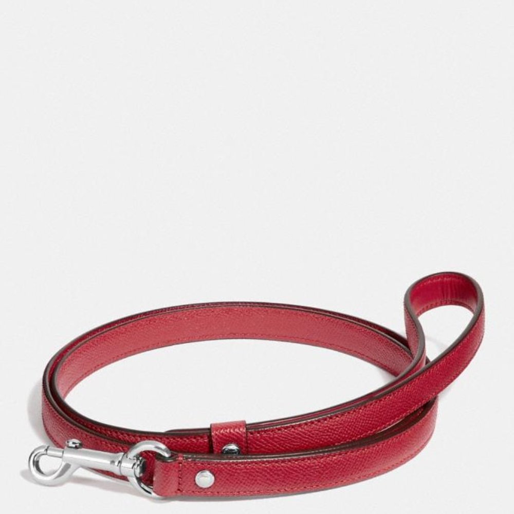 🐕‍🦺🦮 NWT COACH Small Pet Leash 🦮🐕‍🦺