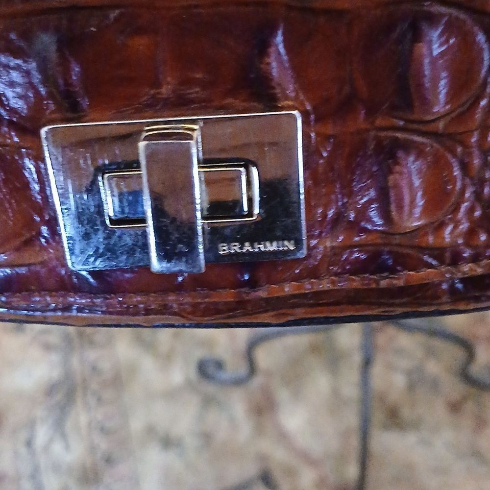 Brahmin - Picture 3 of 9