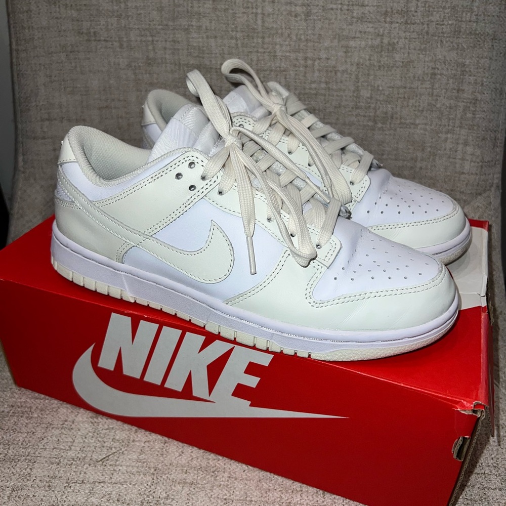 EUC Nike Low Dunks