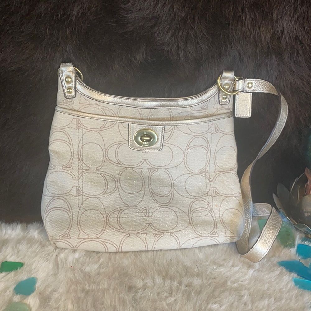 Coach purse (4790)