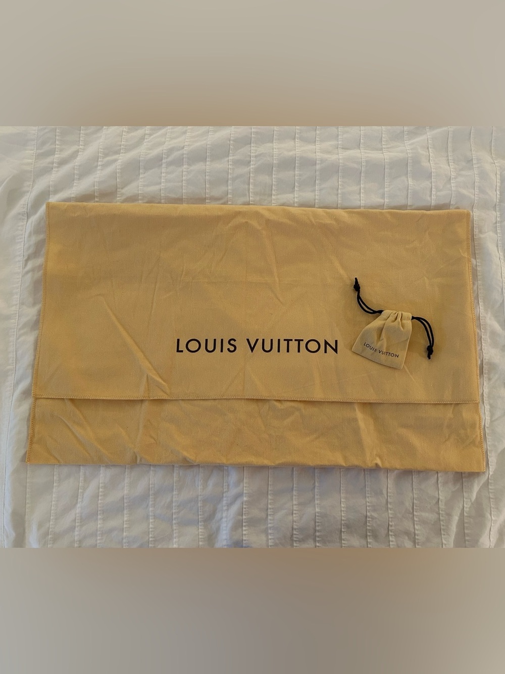 Louis Vuitton Dust Bag and Pouch