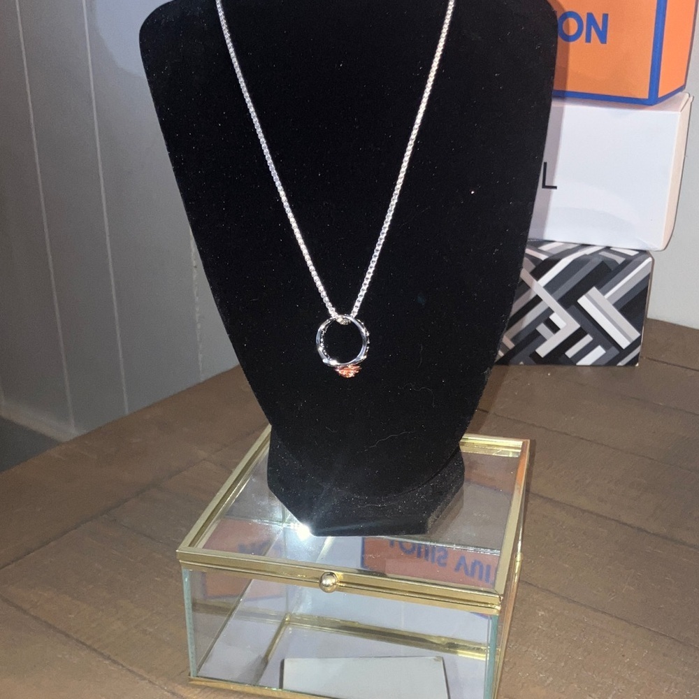 Elegant Silver Necklace with Rose Gold Accent