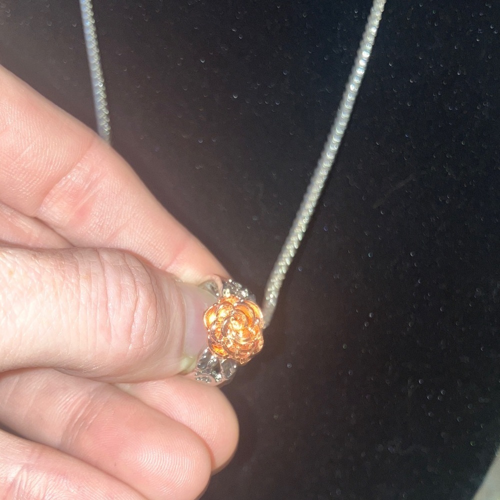 Elegant Silver Necklace with Rose Gold Accent - Picture 3 of 3