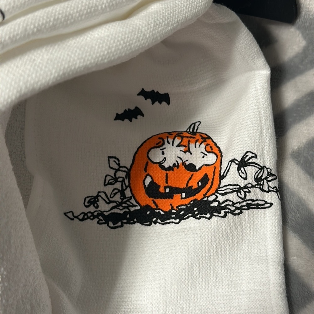 NWT Peanuts and Rae Dunn Snoopy Halloween Kitchen Towels - Picture 5 of 5