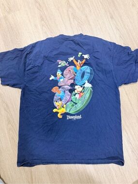 Vintage disney 2009 shirt