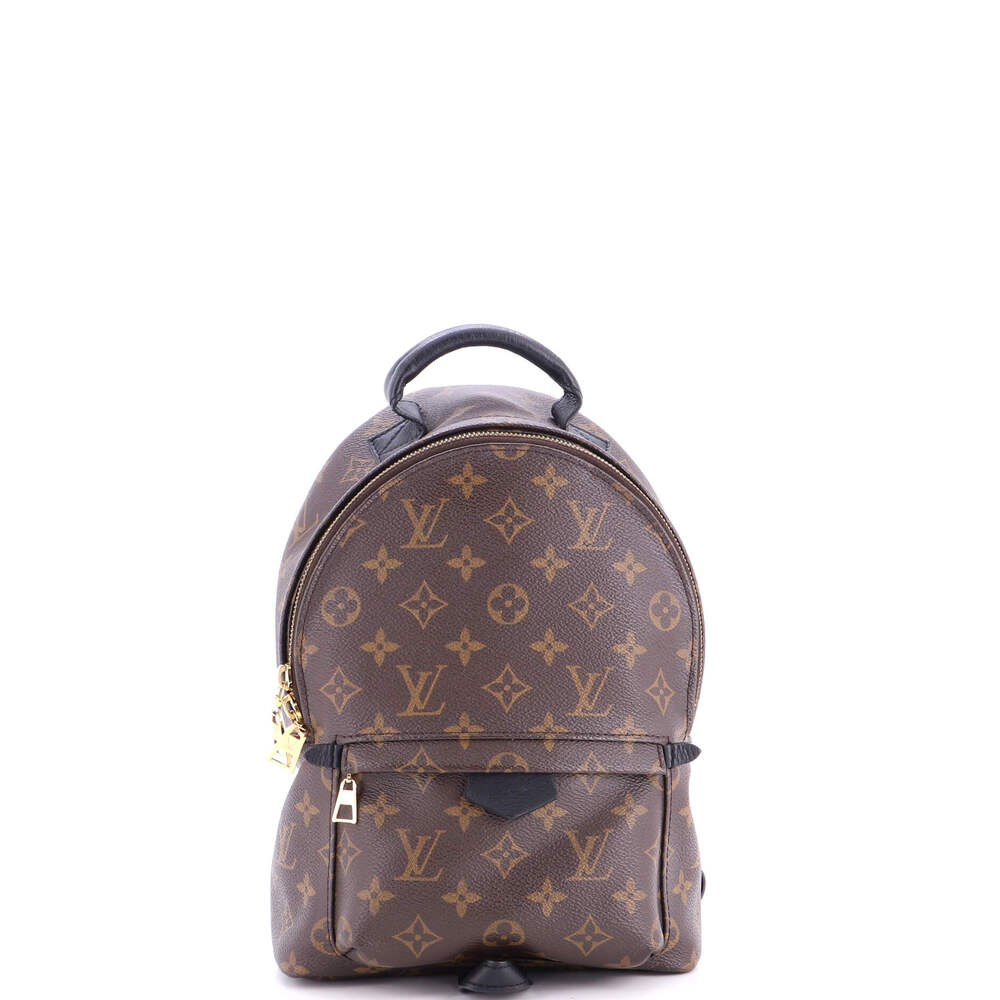 Louis Vuitton Palm Springs Backpack #265864L15B