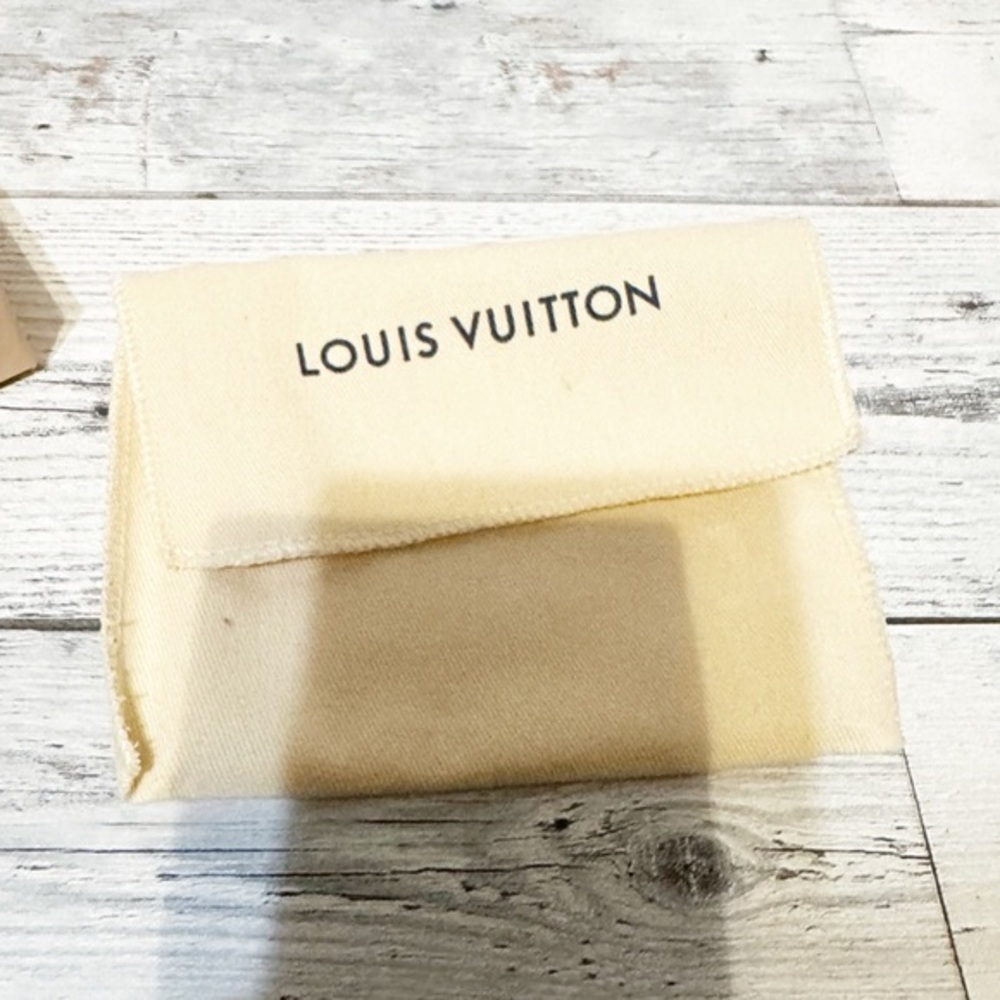 Louis Vuitton small leather dust bag