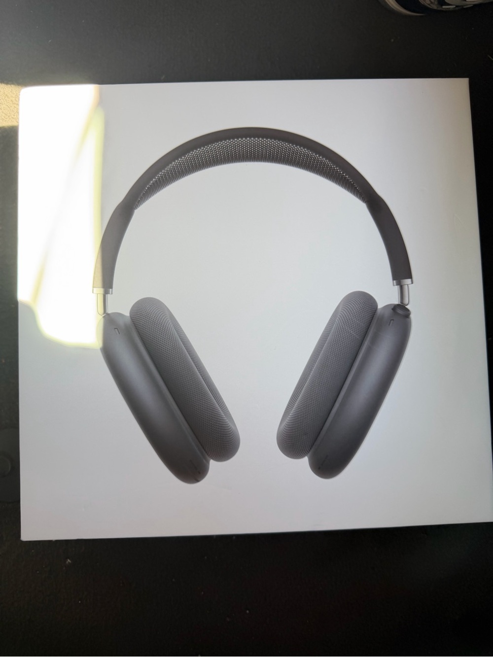 AirPods Pro Max (Gray)