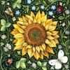 sunflower8143