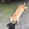 kiki6668
