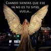 casy85