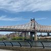 nyjayz212