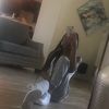 _jaleyahh