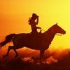 horse_lover007