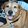 jessran333