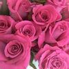 juany_a