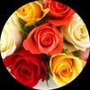 rosemrsch