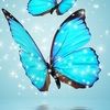 katrin888888888