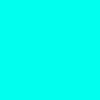 minormae452