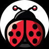 ladybugfindsllc