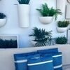 cornerchic285