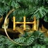 healhouse