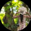 kristineng0425